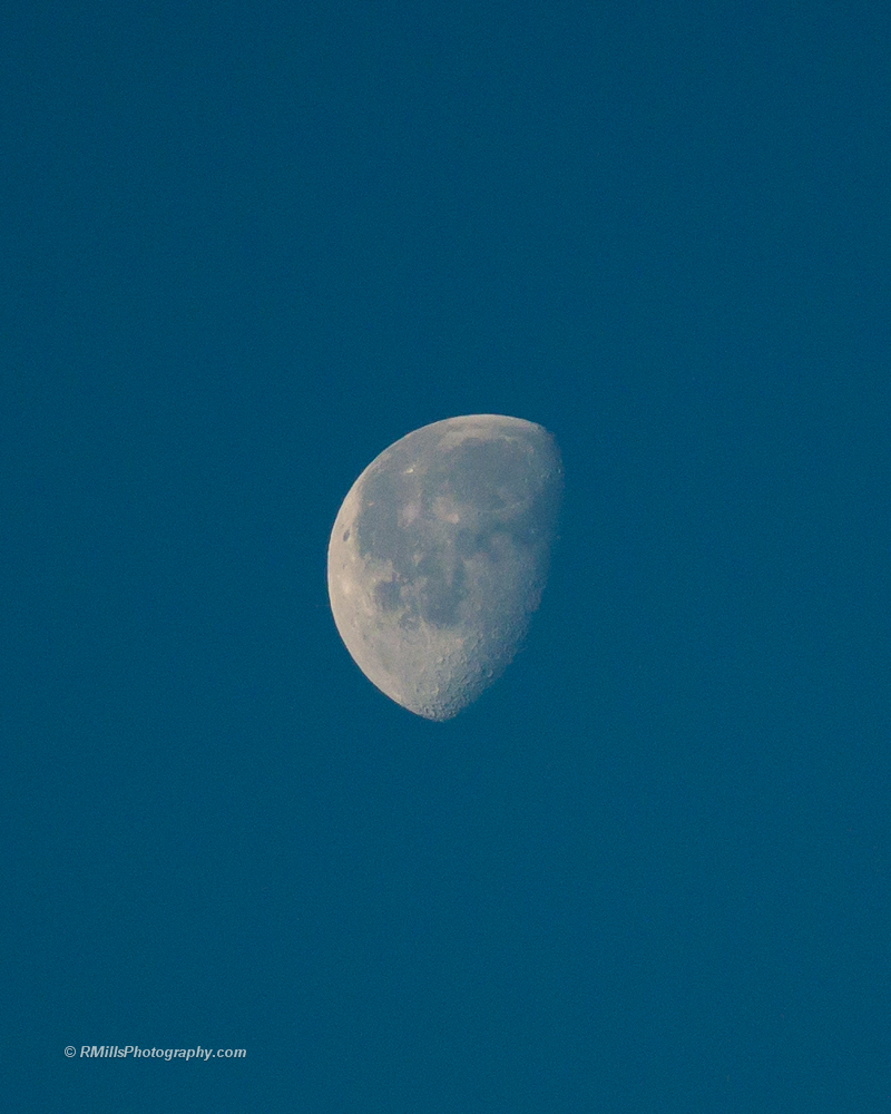 DSC_0833_10217.jpg