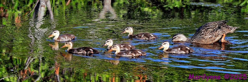 DSC_0834_001.JPG