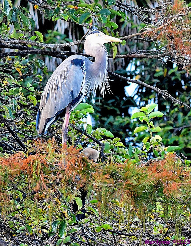 DSC_0837_001.JPG