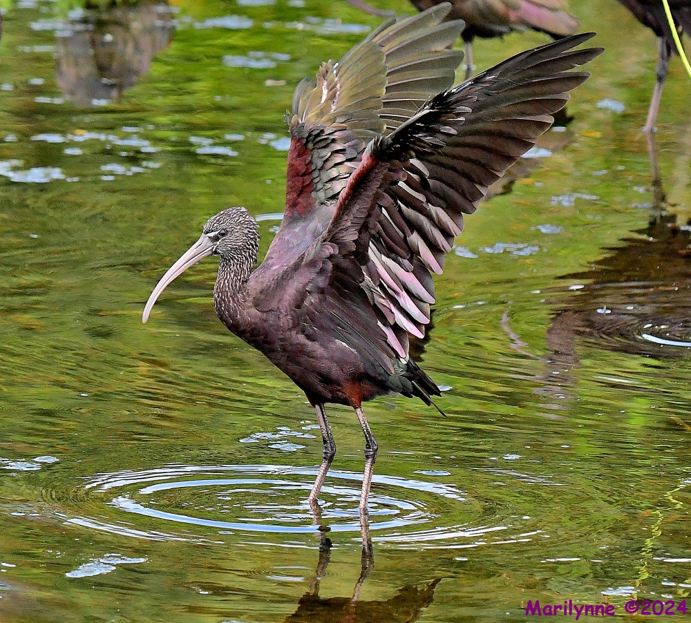 DSC_0839_001.JPG