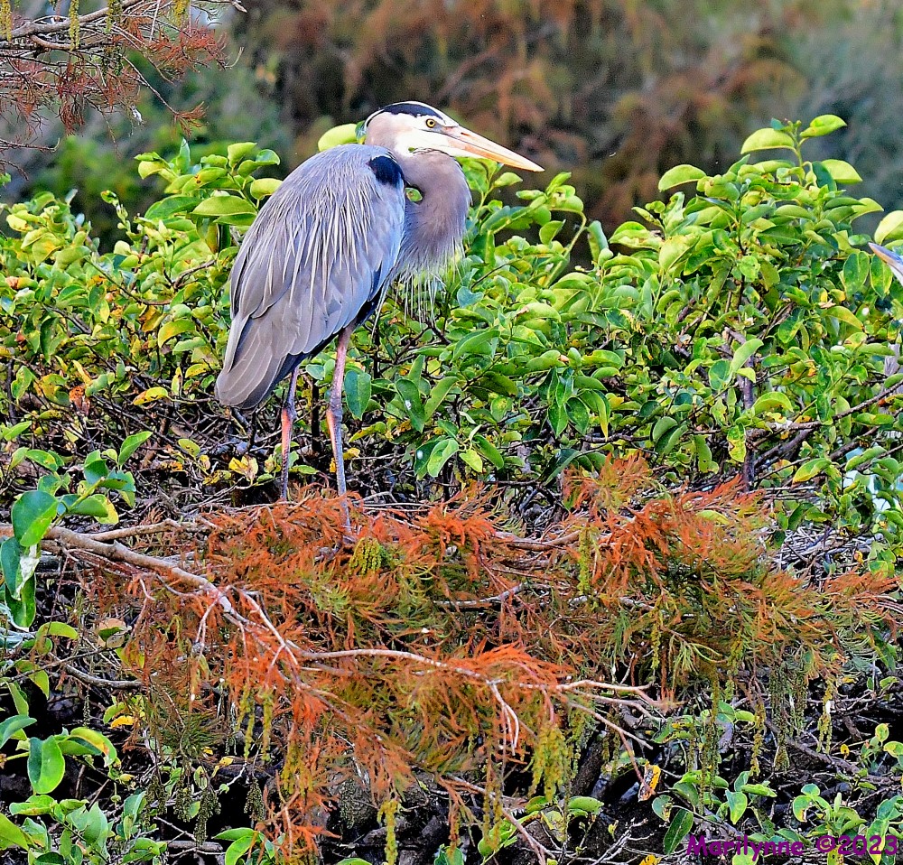 DSC_0841_001.JPG