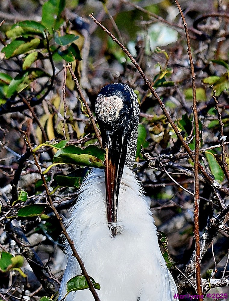 DSC_0841_001.JPG