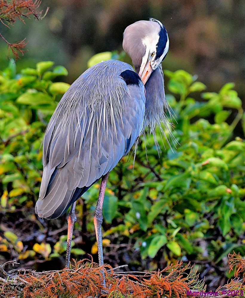 DSC_0843_001.JPG