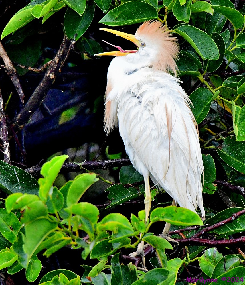 DSC_0846_001.JPG