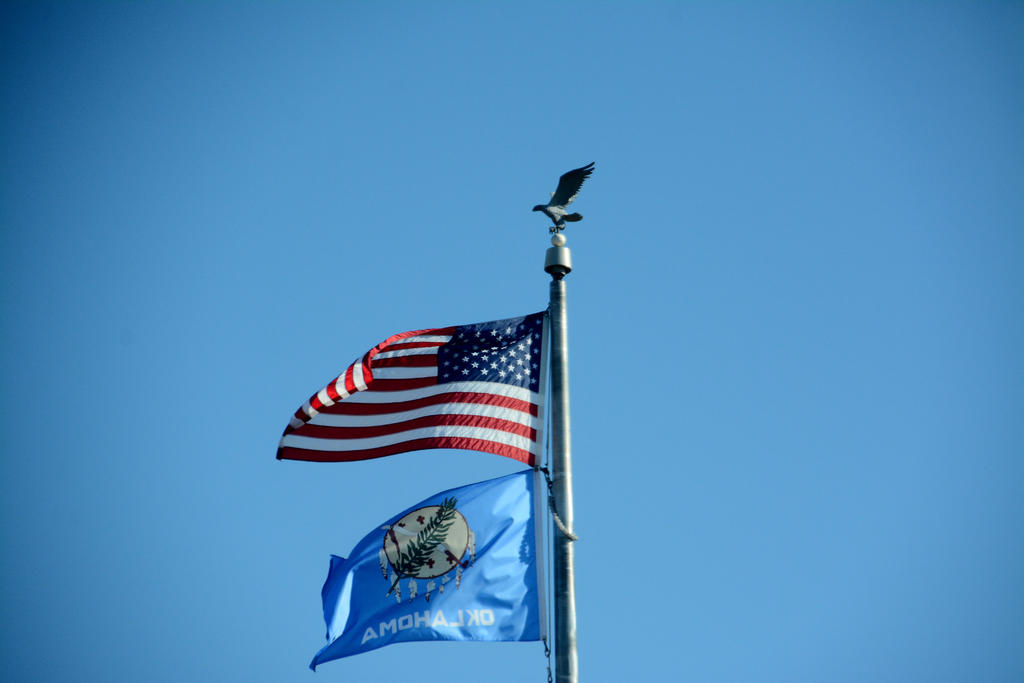 DSC_0847.jpg