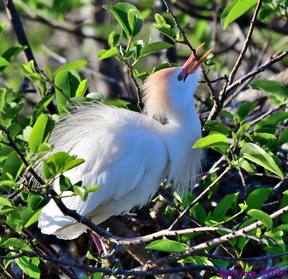DSC_0847_001.JPG