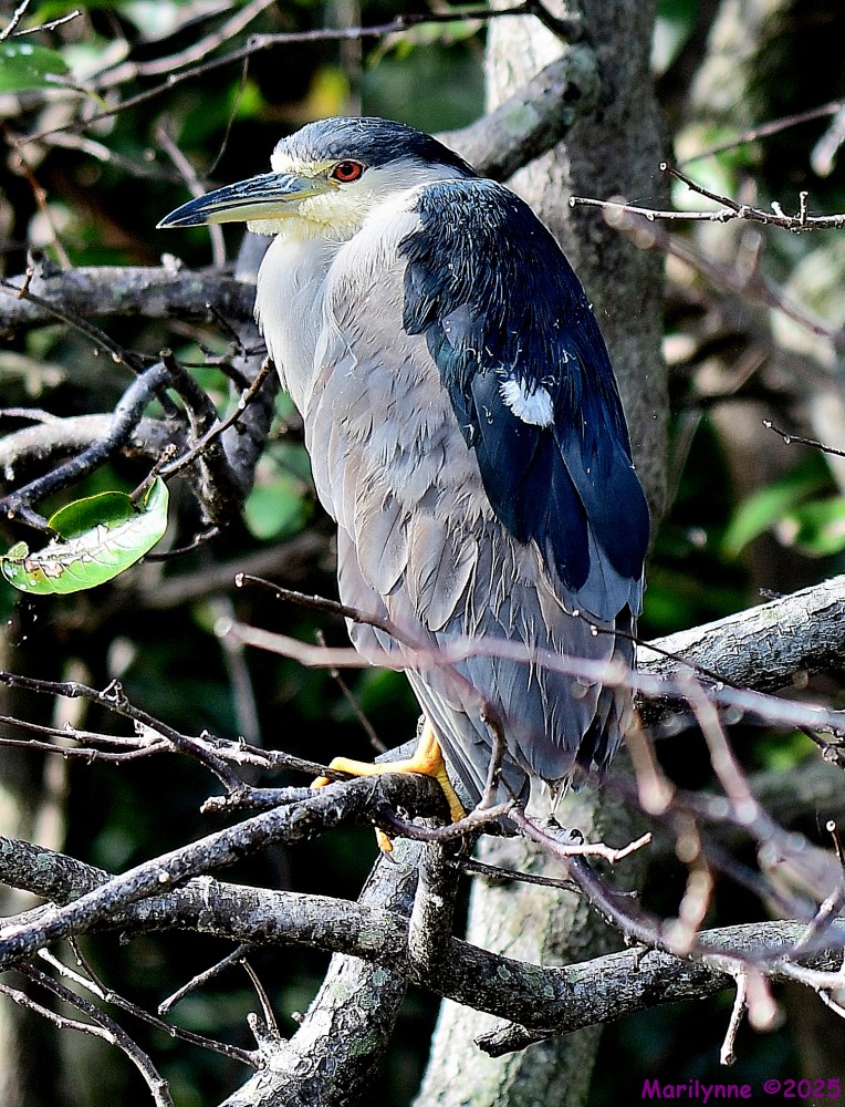 DSC_0848_001.JPG