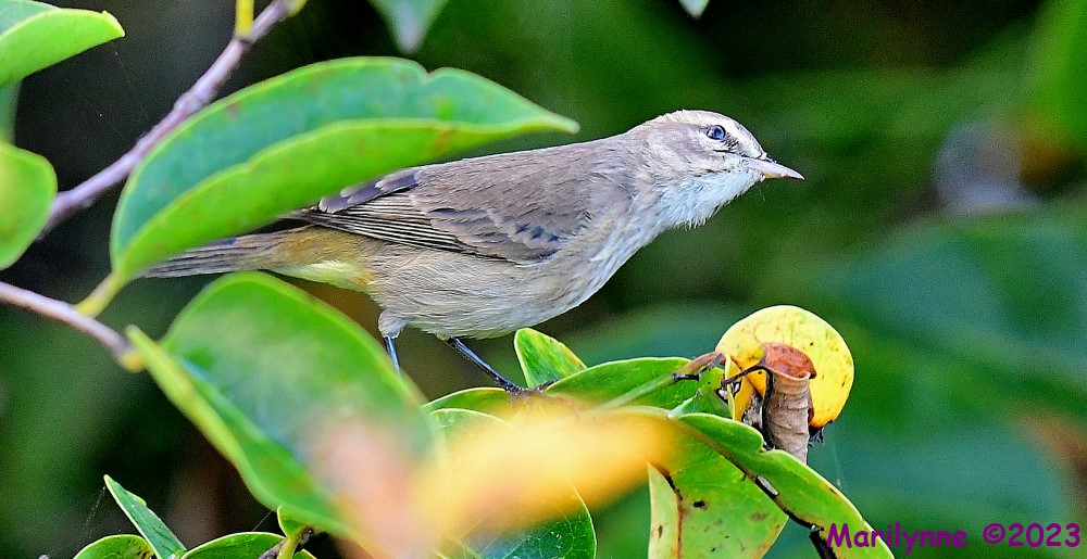 DSC_0850_001.JPG