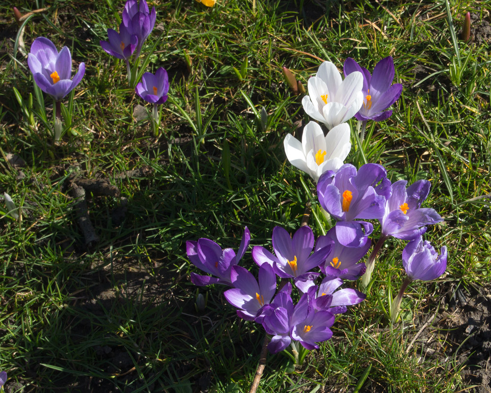 DSC_0852.jpg
