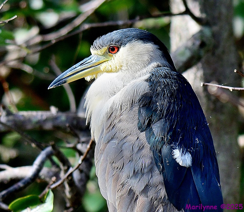 DSC_0853_001.JPG