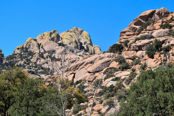 DSC_0856-20200328_235.JPG