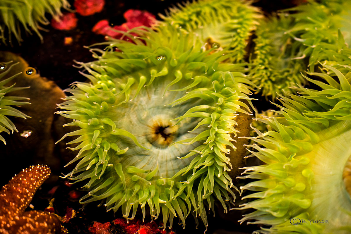 DSC_0856.jpg