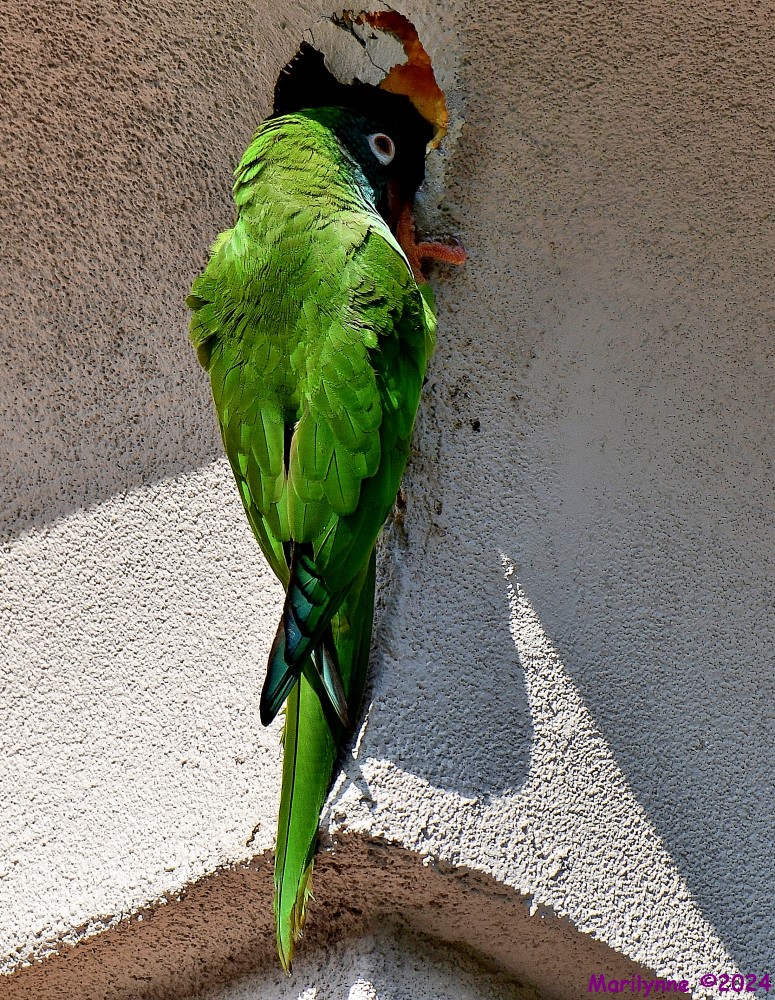 DSC_0857_001.JPG
