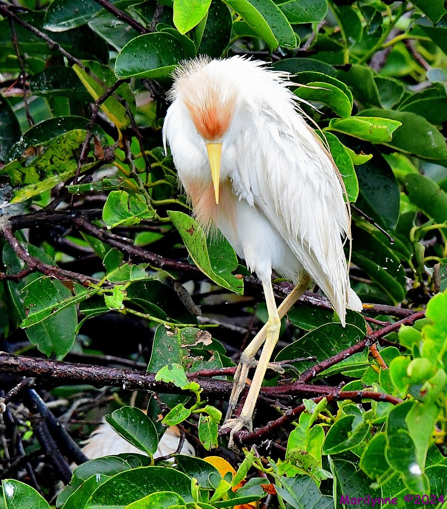 DSC_0858_001.JPG