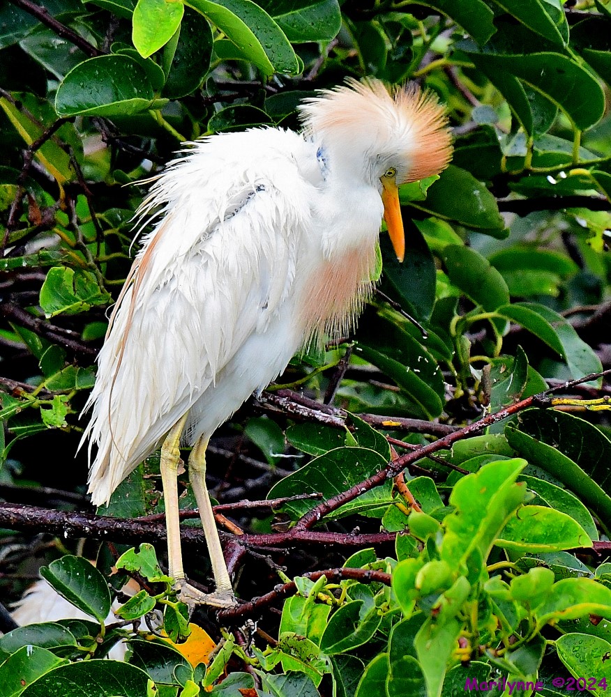 DSC_0859_001.JPG