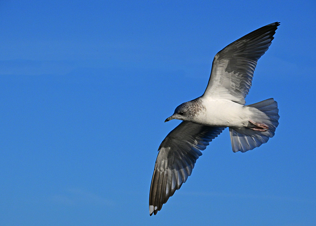 DSC_0863.jpg