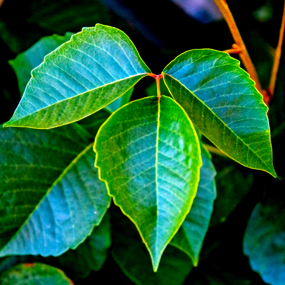 DSC_0865-Edit.jpg