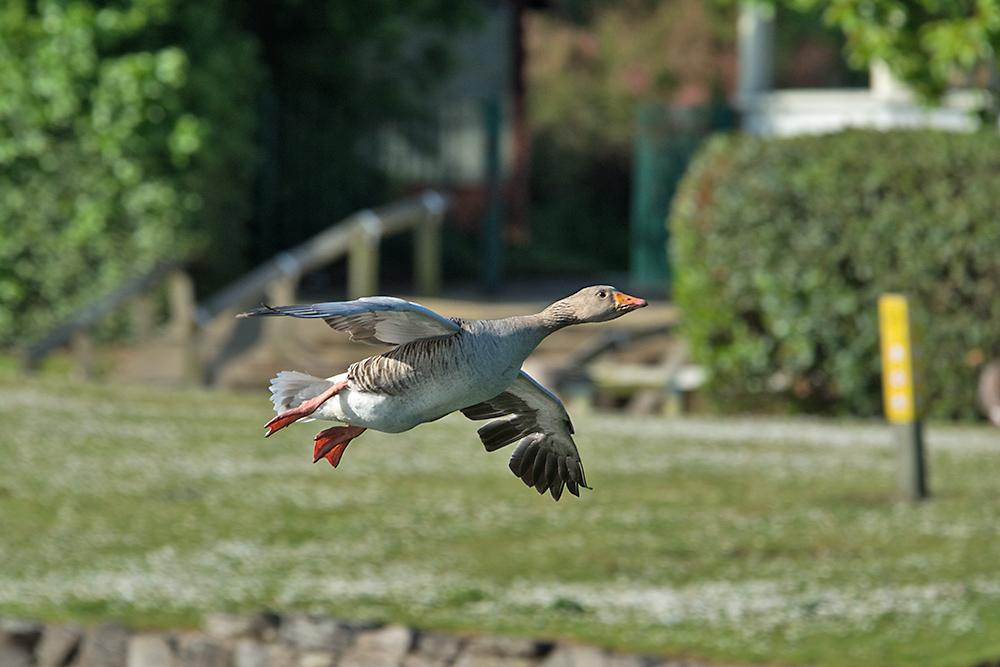 DSC_0865.jpg