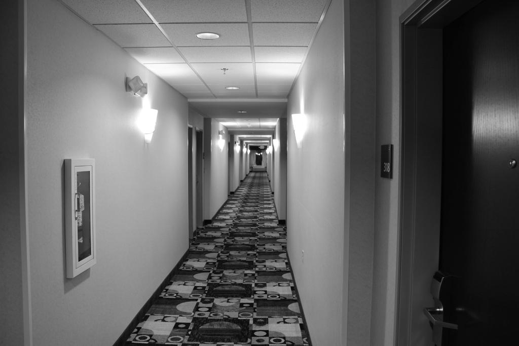 DSC_0865.jpg