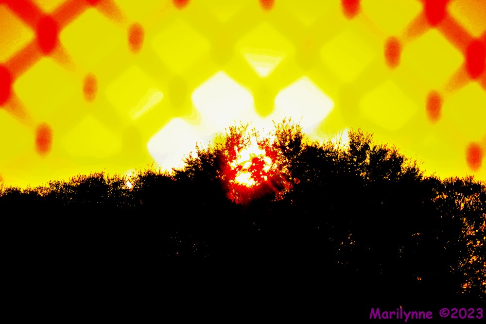 DSC_0865_001.JPG