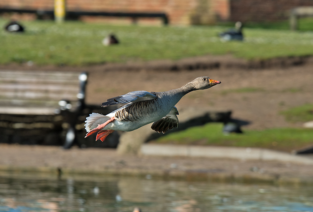 DSC_0866.jpg