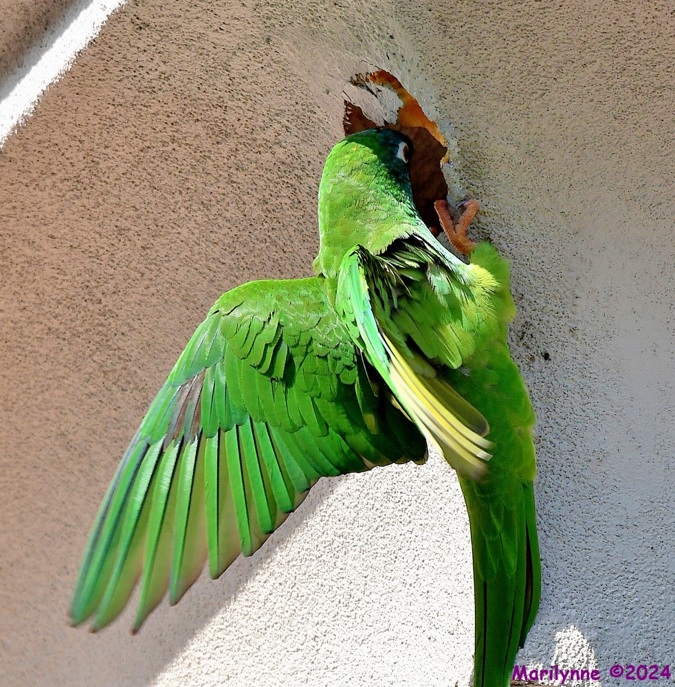 DSC_0866_001.JPG