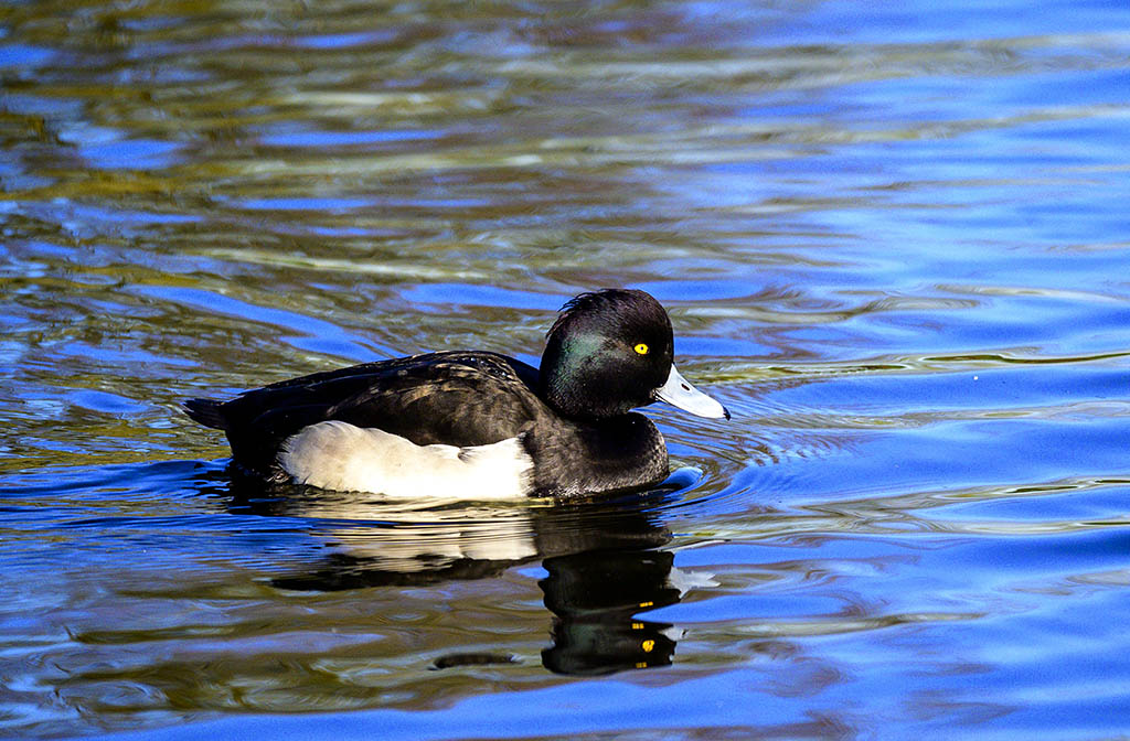 DSC_0869.jpg