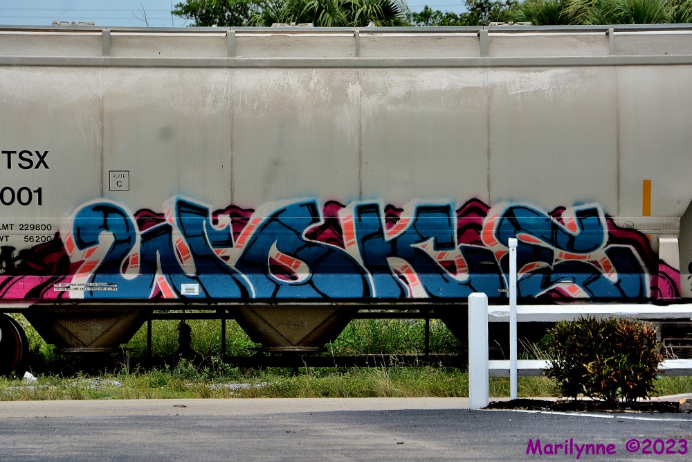 DSC_0869_001.JPG