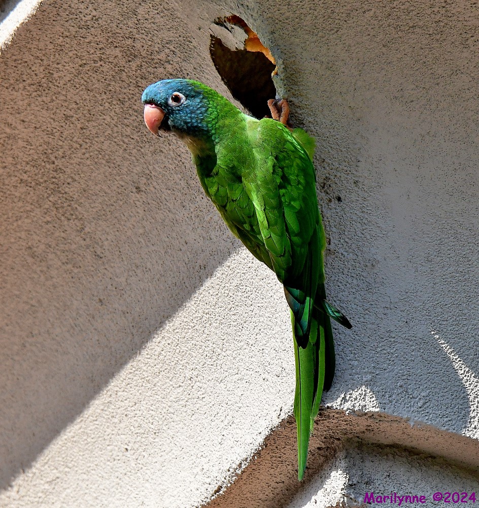 DSC_0869_001.JPG