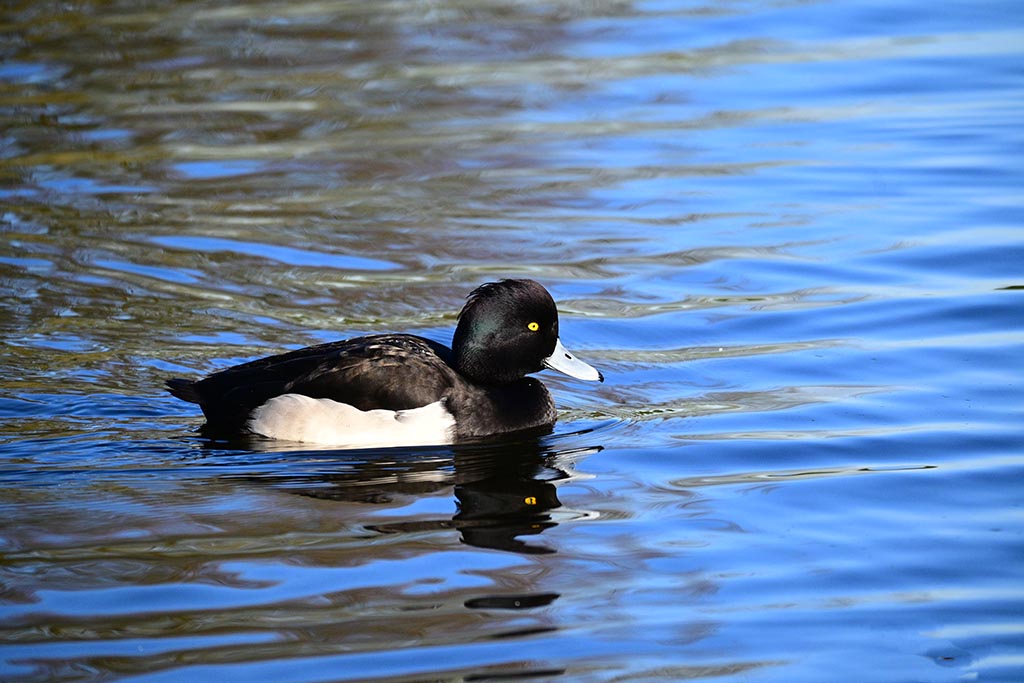 DSC_0870.jpg