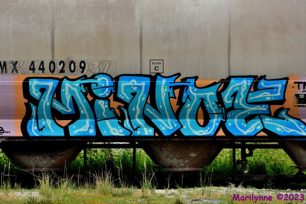DSC_0872_001.JPG