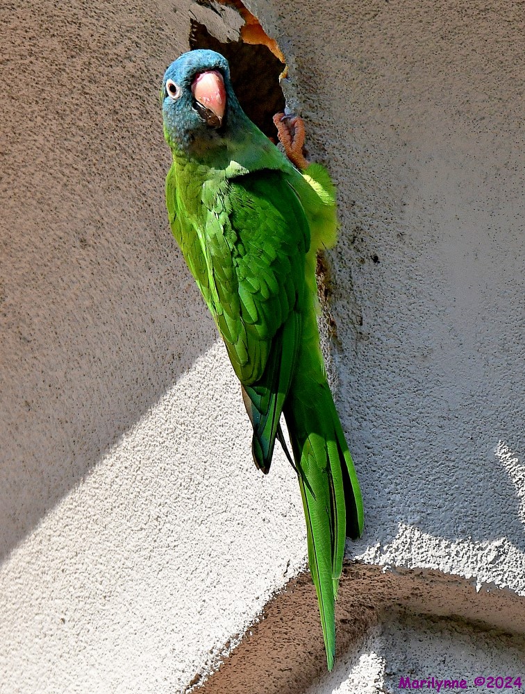 DSC_0872_001.JPG