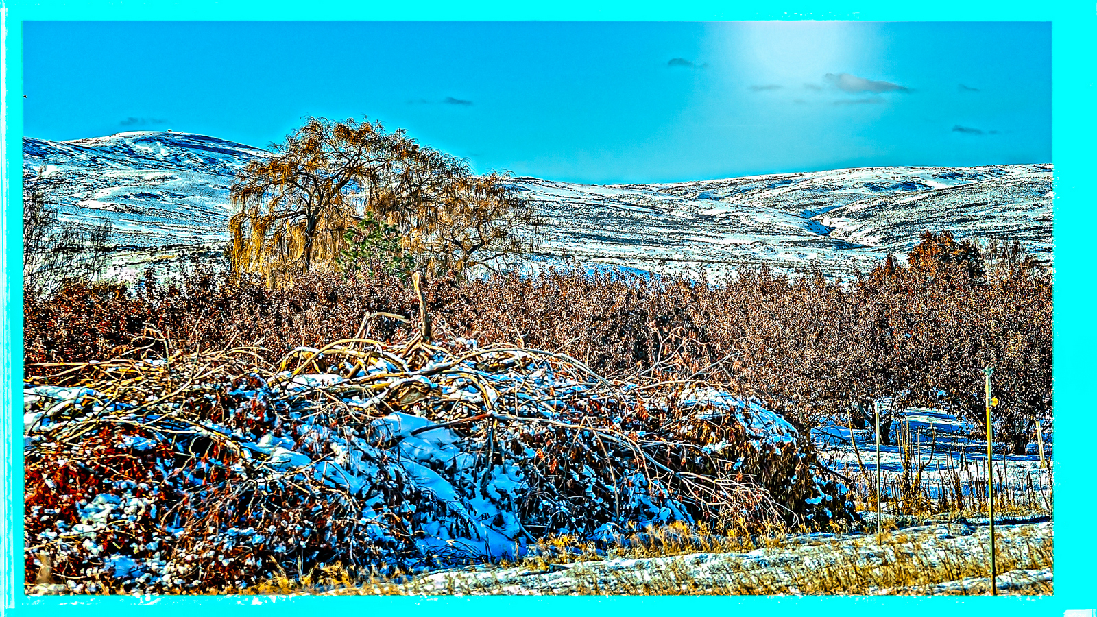 DSC_0876-Edit.JPG