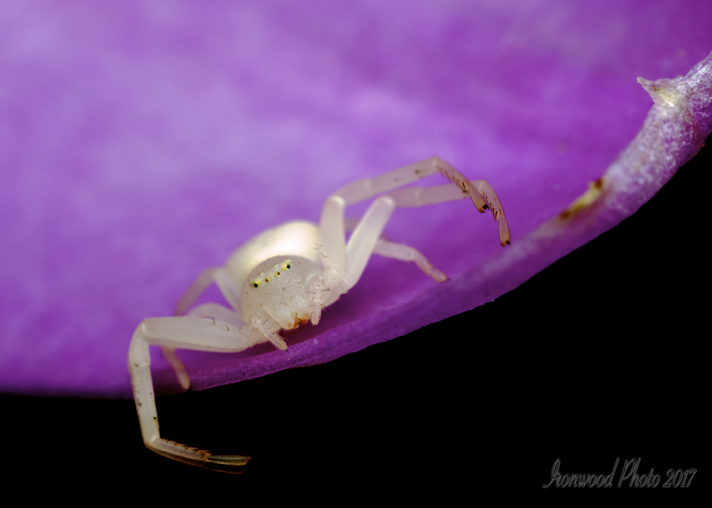 DSC_0877.jpg