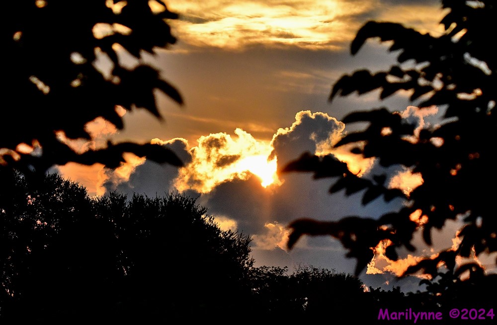 DSC_0879_stitch4_001.JPG