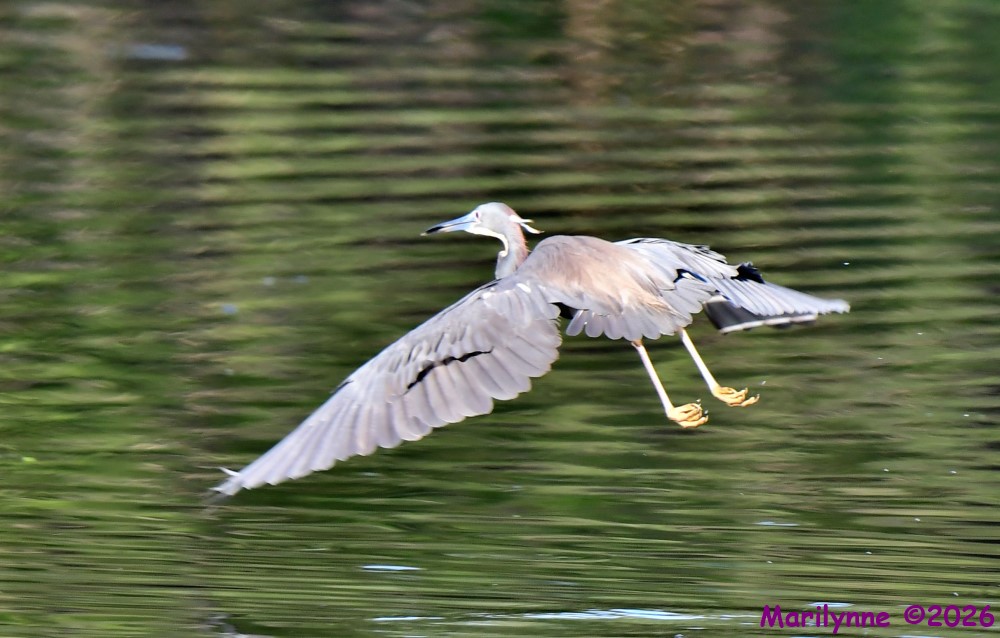DSC_0881_001.JPG