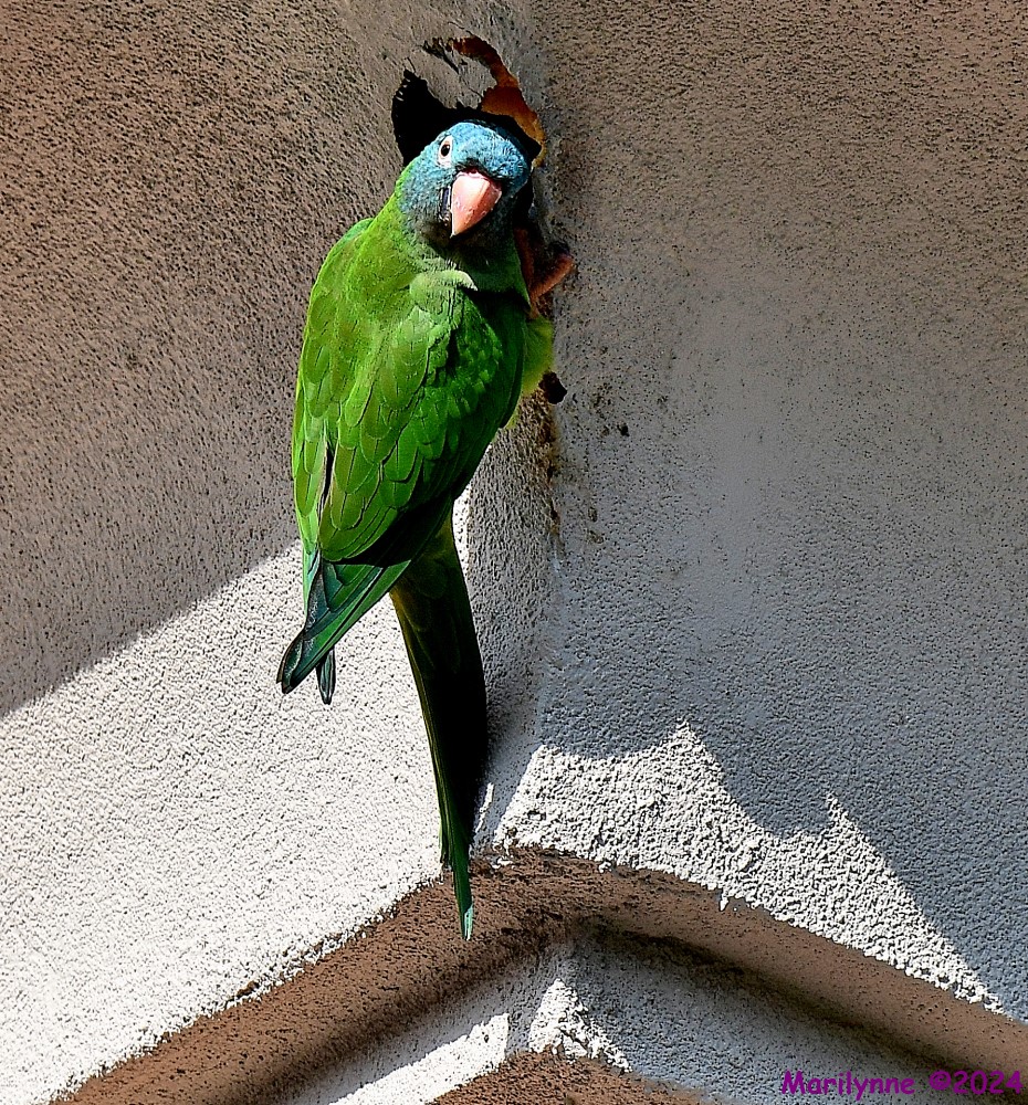 DSC_0882_001.JPG