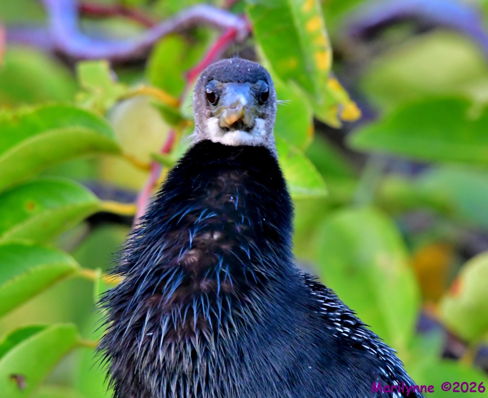 DSC_0883_001.JPG