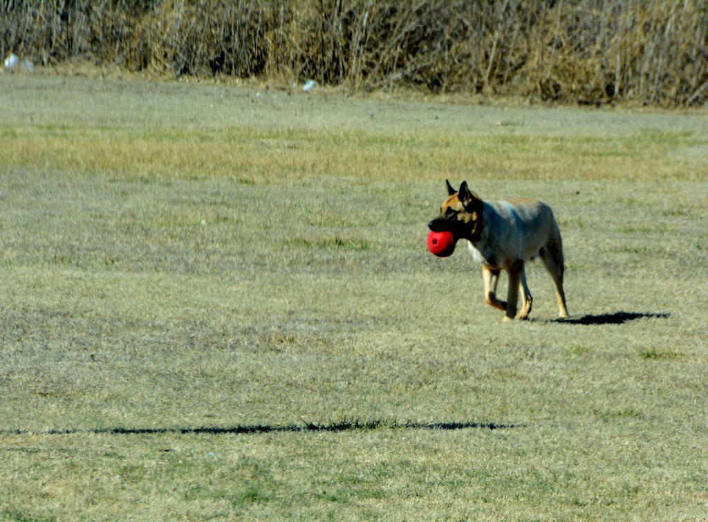 DSC_0886.jpg