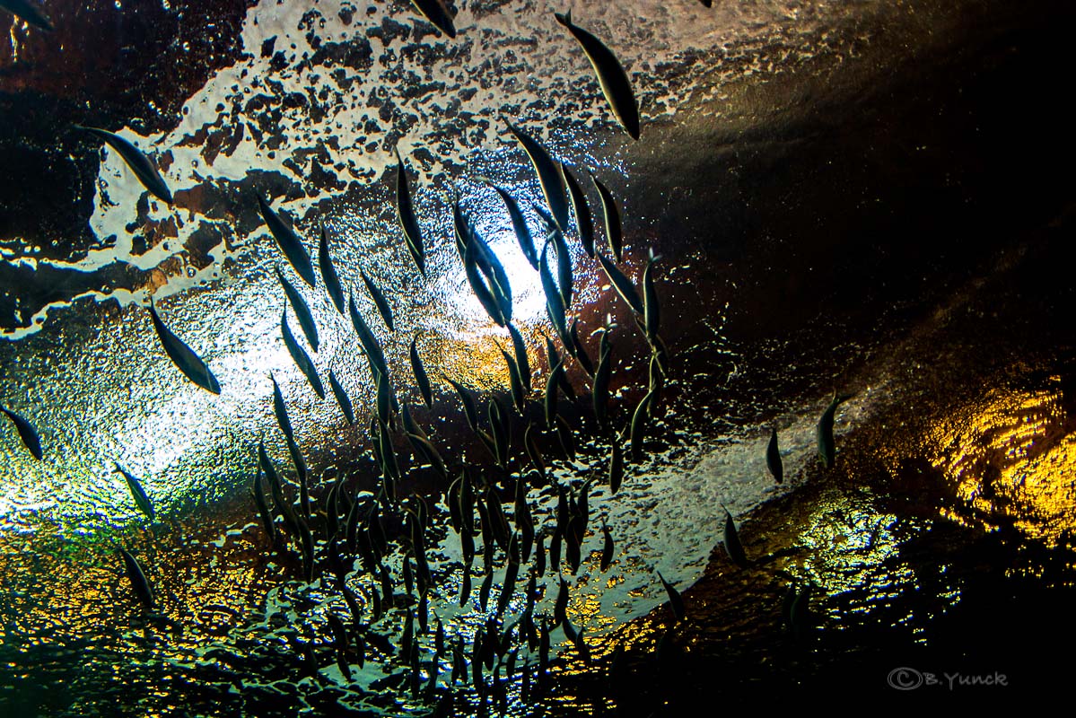 DSC_0887.jpg