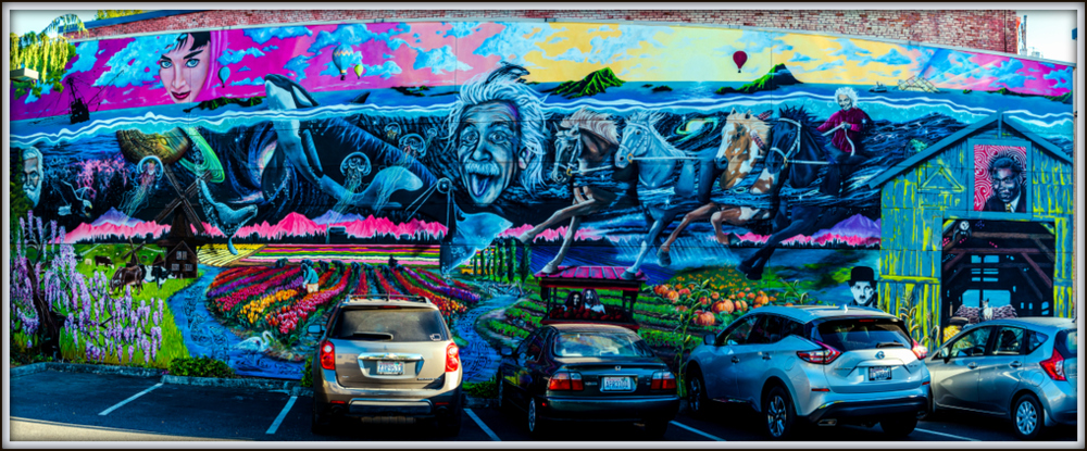 DSC_0889-Pano.jpg