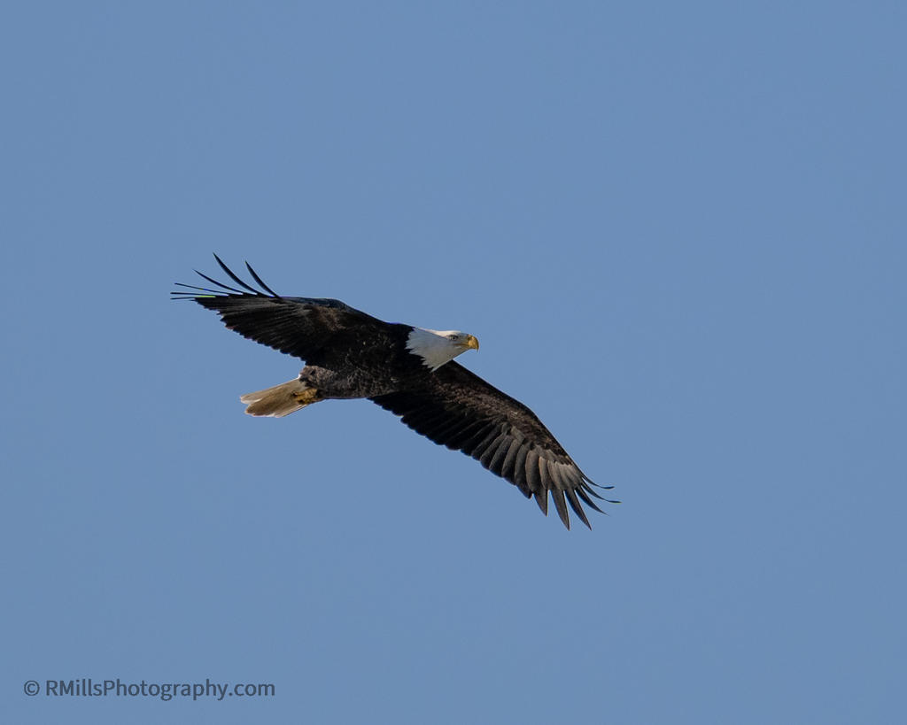 DSC_0890.jpg