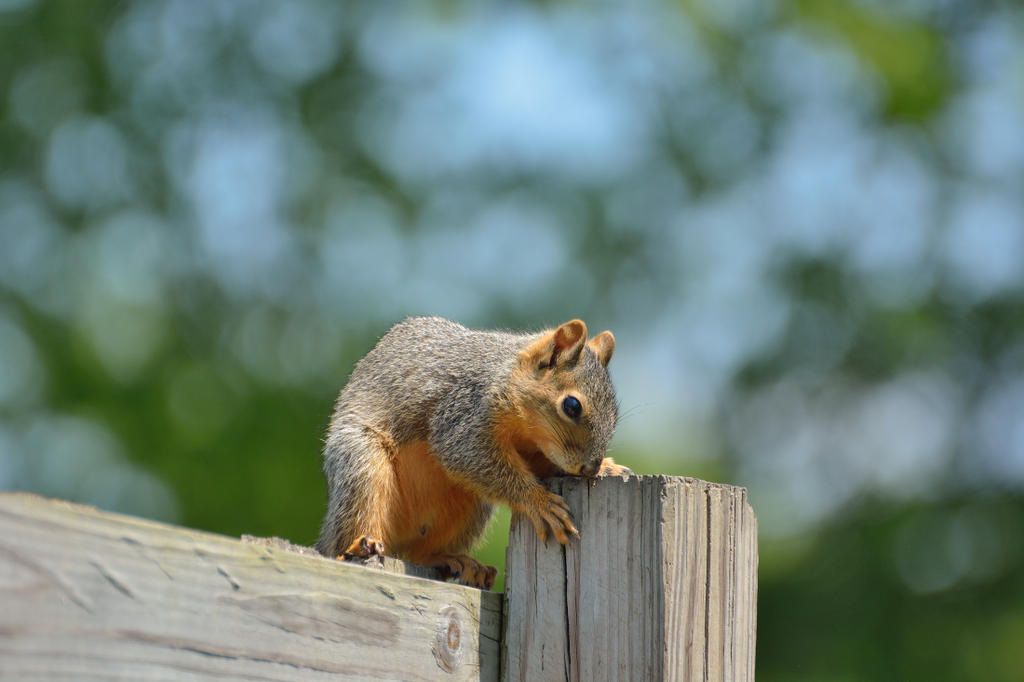 DSC_0891 nxd.jpg