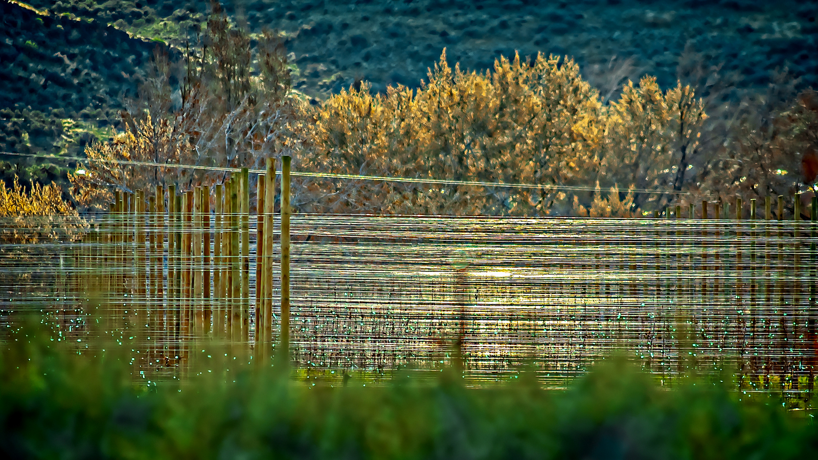 DSC_0892-Edit.JPG