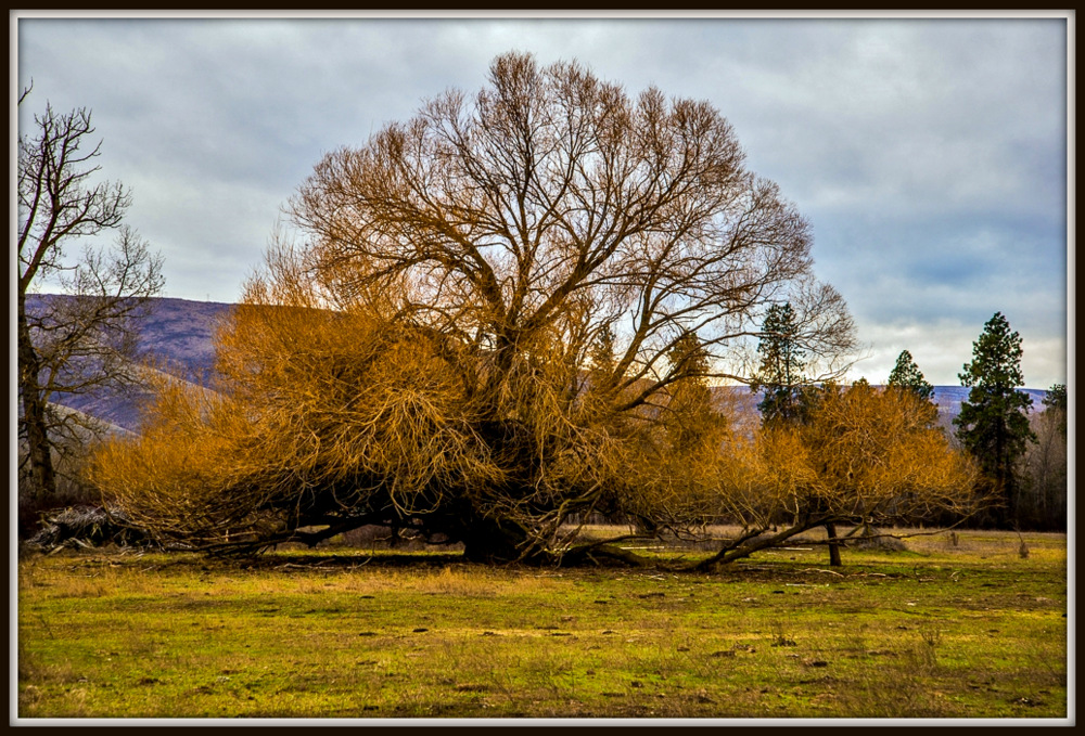 DSC_0892.jpg