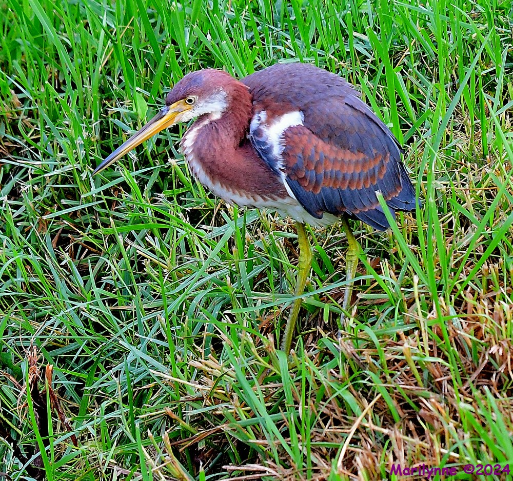 DSC_0893_001.JPG