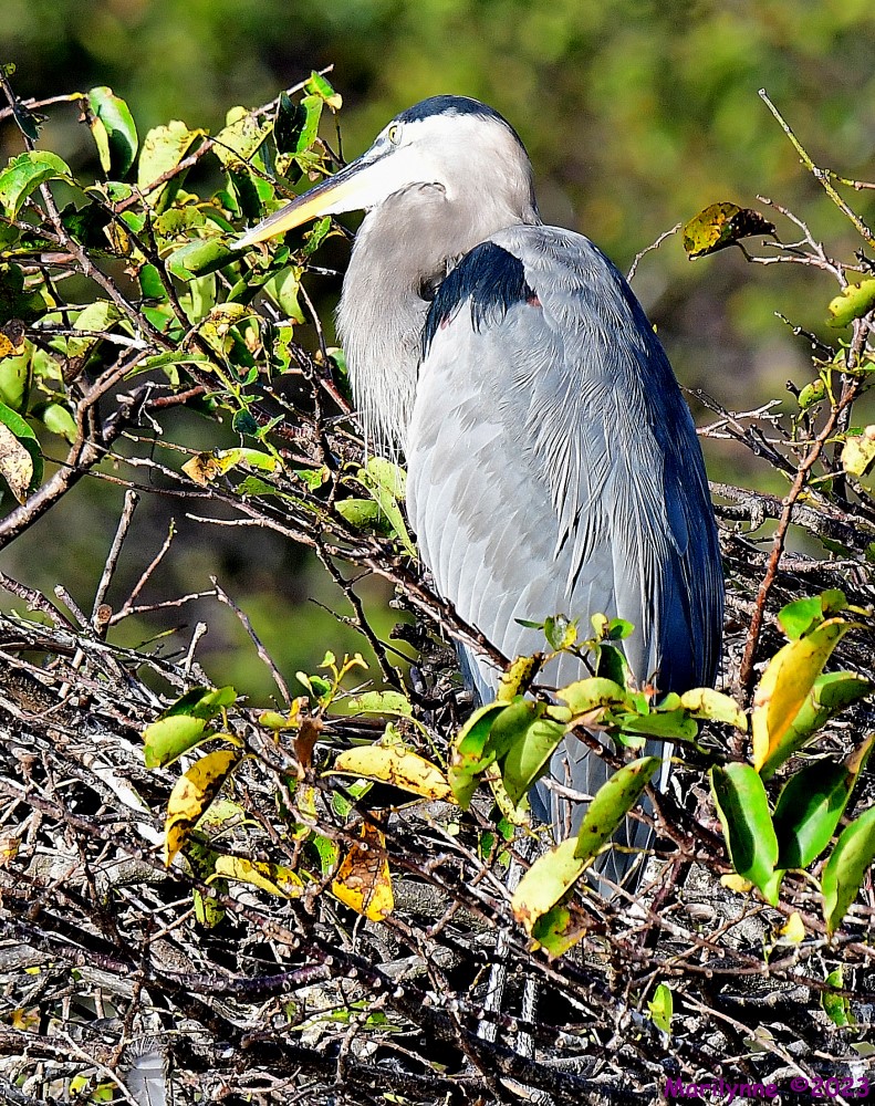 DSC_0896_001.JPG