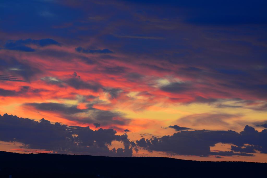 DSC_0897.jpg
