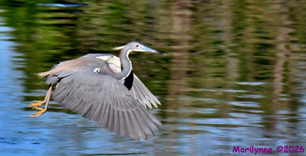 DSC_0897_001.JPG