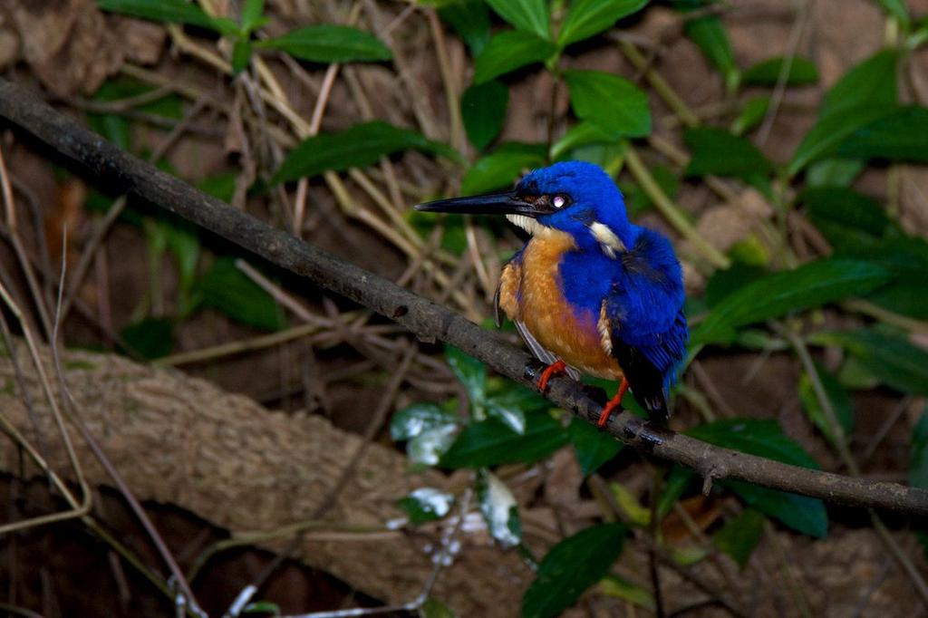 DSC_0898.jpg